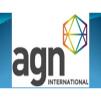 Mohamed Adel Nassef & Co. Certified Accountants &Consultants (Member firm of AGN International) Logo
