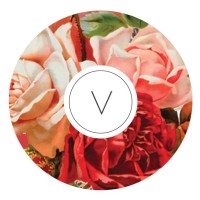 Verve Northwest Communications Logo