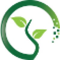 Digiseed Logo