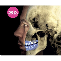 TwentyOneDental - A Digitally Advanced Dental, Implant & Specialist Referral Centre Logo