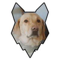 Fenrir Canine Leaders Logo