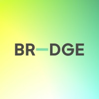 BR-DGE Logo
