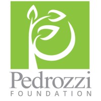 Pedrozzi Foundation Logo