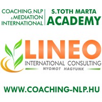 Lineo International Consulting LTD. Logo