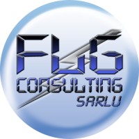 FLG CONSULTING sarlu Logo