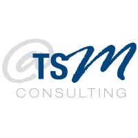 @TSM Consulting Logo