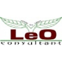 Leo Consultant Logo