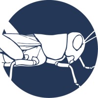 Change Alley Limited Logo