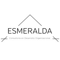 Consultoria en Desarrollo Organizacional Logo