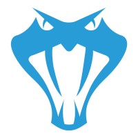 Sinerji Bilgisayar Elektronik ve Sanal Mağazacılık Ltd. Şti. Logo
