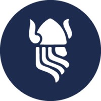 VIKINGLEADS Logo