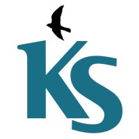 Kestrel Strategy Logo