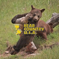 Bear Country USA Logo