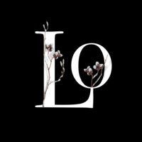 Lo Cabinet dexpertise Logo
