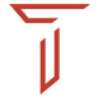 Telikoz Infotech Pvt LTD Logo