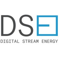 Digital Stream Energy Inc Logo