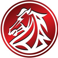 Vision Alliance Holdings Logo