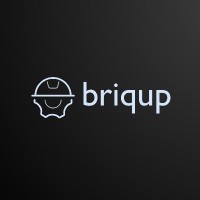 BriqUp Logo