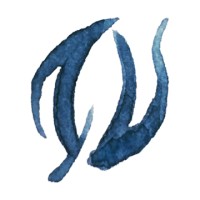 Grafted Tulips Logo
