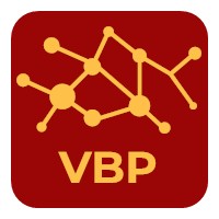 Virtual Business Professional Logo