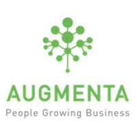 Augmenta Consulting Logo