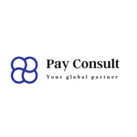 PayConsult Partners Logo