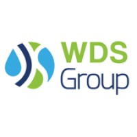 WDS Group Logo