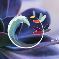 Wisdom Ways Center for Spirituality Logo