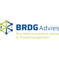 BRDG Advies Logo