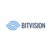 Bitvision Logo