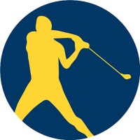 FlingGolf by New Swarm Logo