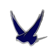 Soar Environmental Consulting, Inc. Logo