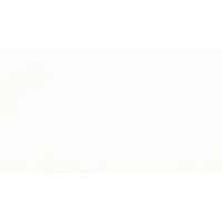 WSNE Consulting Logo