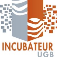 Incubateur UGB Logo