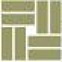 Private Asset Management / Wealth Strategy Advisors Logo