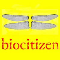 Biocitizen Logo
