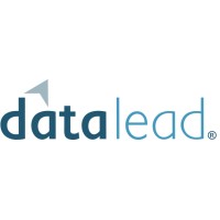 DataLead Logo