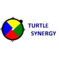 Turtle Synergy LLC Logo