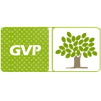 GREEN VILLAGE POWER Logo
