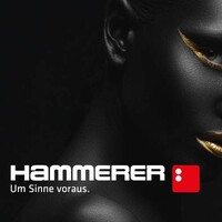 Hammerer GmbH Logo