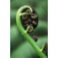 Manaaki Ora Trust Logo