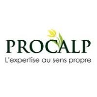 PROCALP Logo