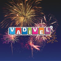 Vadivel Pyrotechs Private Limited Logo