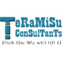 Teramisu Consultants Logo