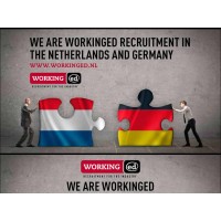 WorkingED - (Inter)national Recruitment Germany & Netherlands Logo