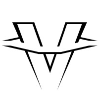 Web Vision Partners Logo