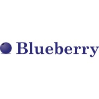 Blueberry Bookkeeping Logo