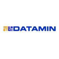 DATAMIN Logo