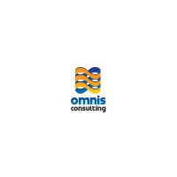 Omnis Software and Consulting Logo