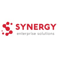 Synergy Enterprise Solutions Logo